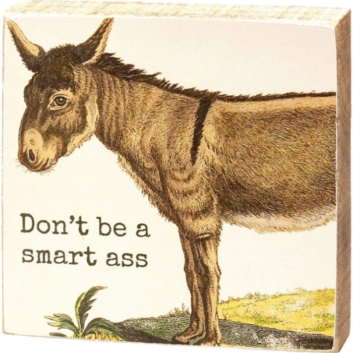 Dont Be A Smart Ass Block Sign Square Wooden Box Sign 4 x 4 2