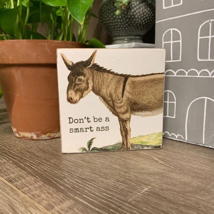 Dont Be A Smart Ass Block Sign Square Wooden Box Sign 4 x 4 6