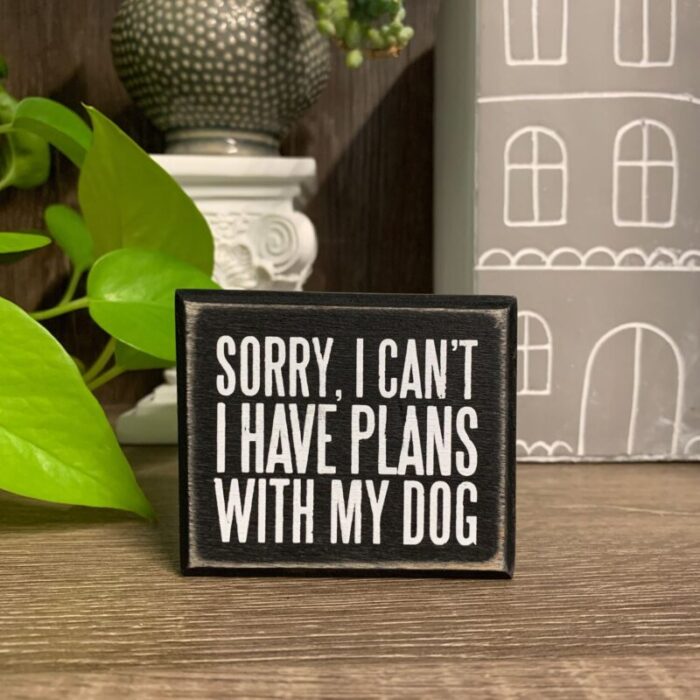 Sorry I Cant I Have Plans With My Dog Wooden Box Sign 5