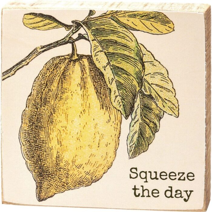 Squeeze The Day Lemon Wooden Block Sign 4 x 4