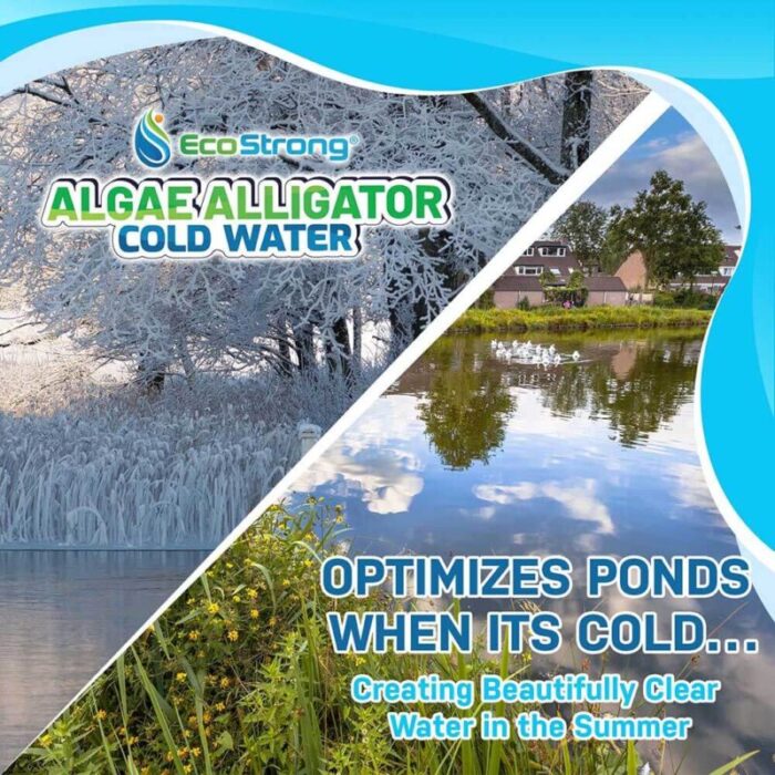 cold water algae alligator works effectively in frigid climates